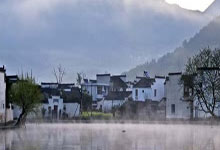 2023君山黄金饼茶叶价格对比排行榜